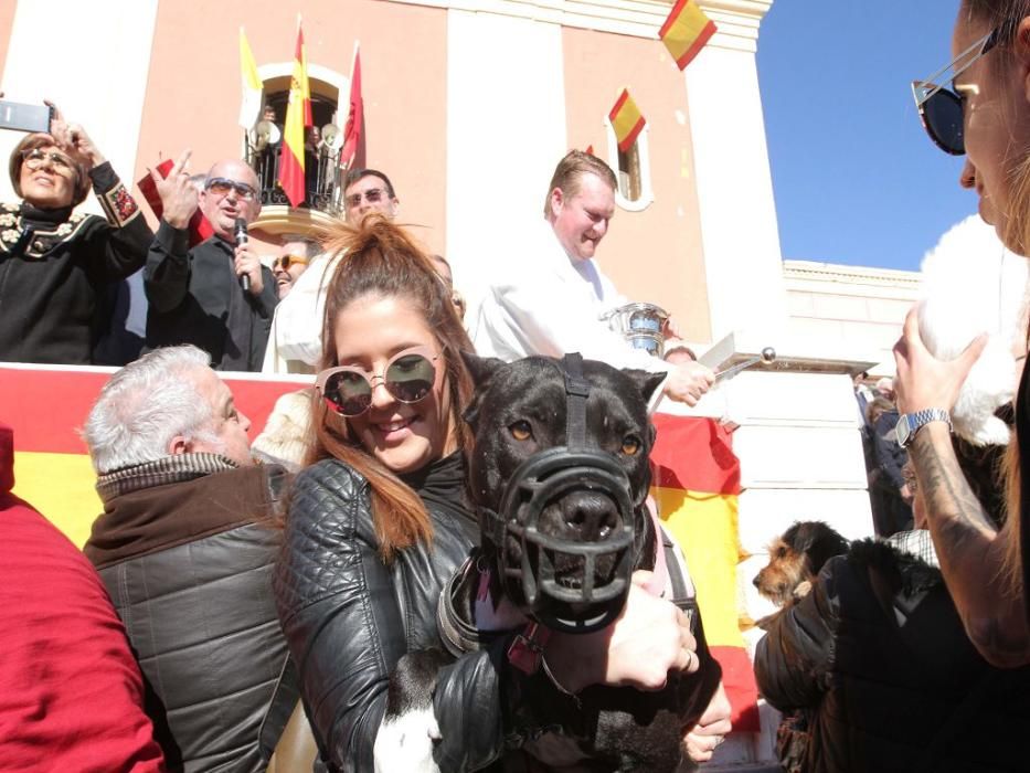 Los vecinos de Cartagena se han acercado junto a sus mascotas a recibir la bendición