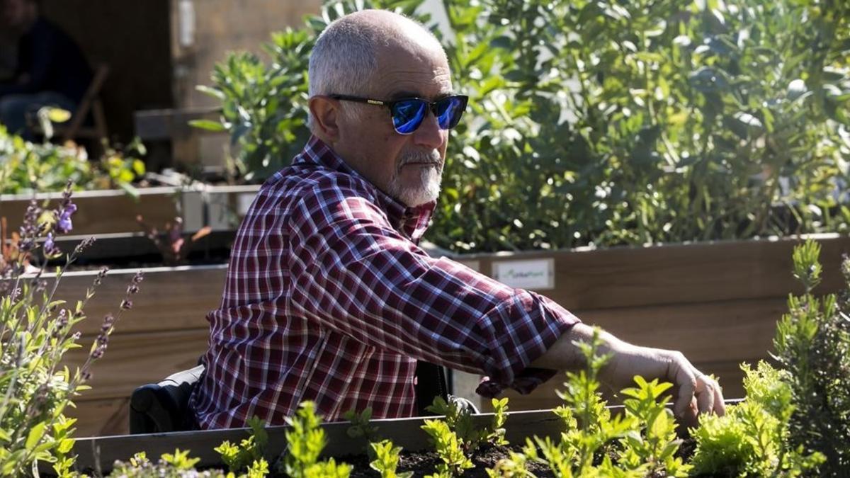 Juan Gabriel Torres inspecciona el estado de los cultivos en el huerto de Can Pinyol, en Sant Boi.