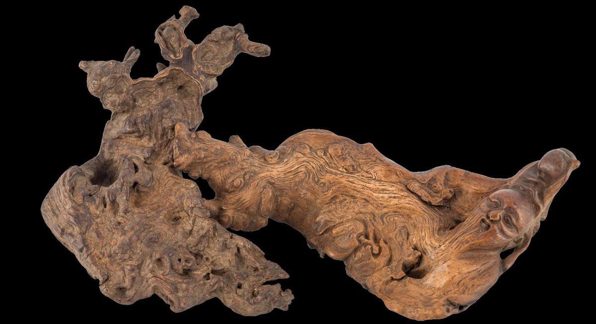 Raíz de mandrágora tallada, expuesta en el Colegio de San Jerónimo