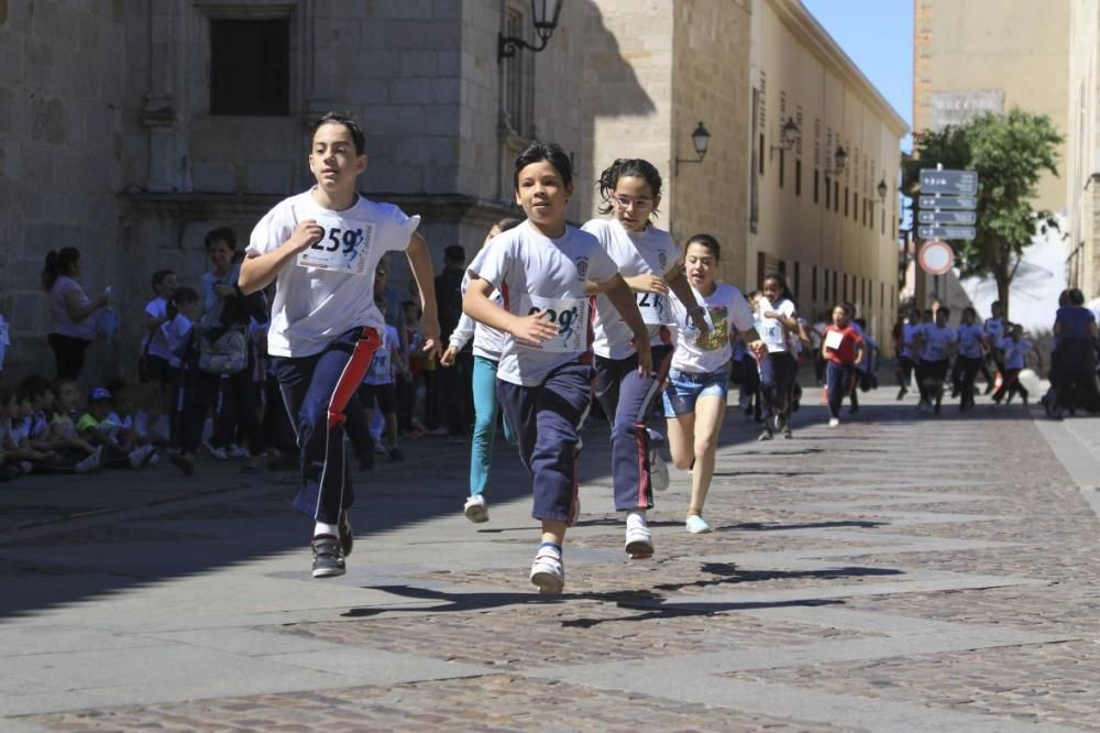 Carreras solidarias escolares