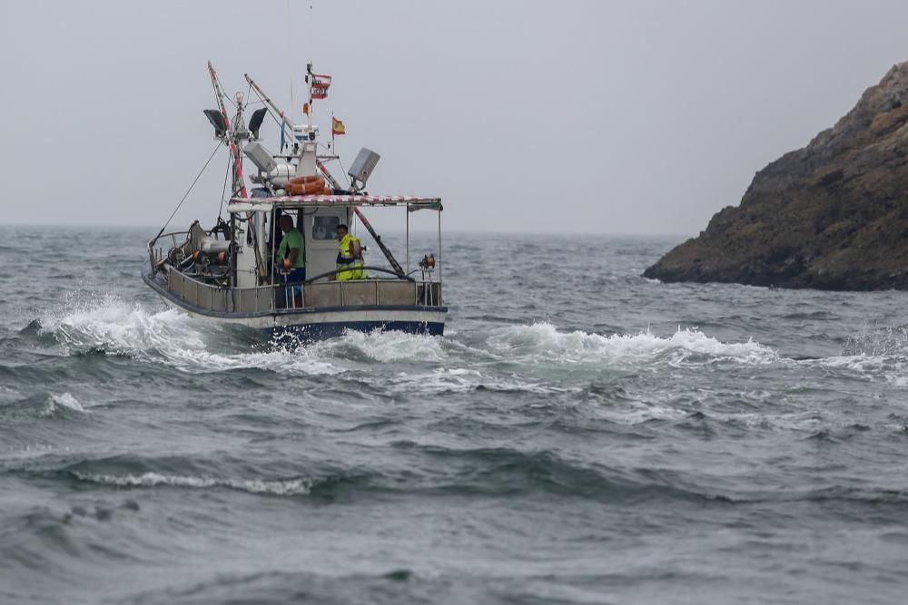 Ecologistas en Acción en la ría de Avilés