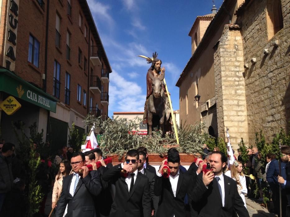 Semana Santa en Zamora: Borriquita en Toro