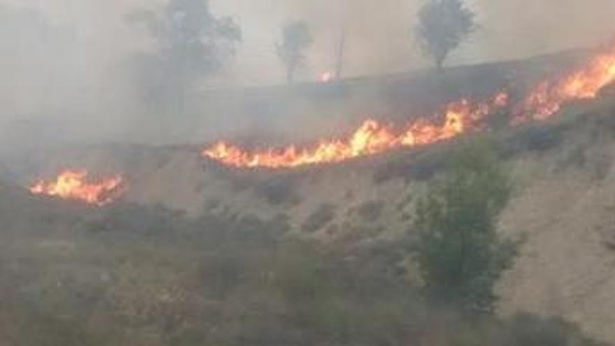 &quot;El foc avançava cap a la casa&quot;