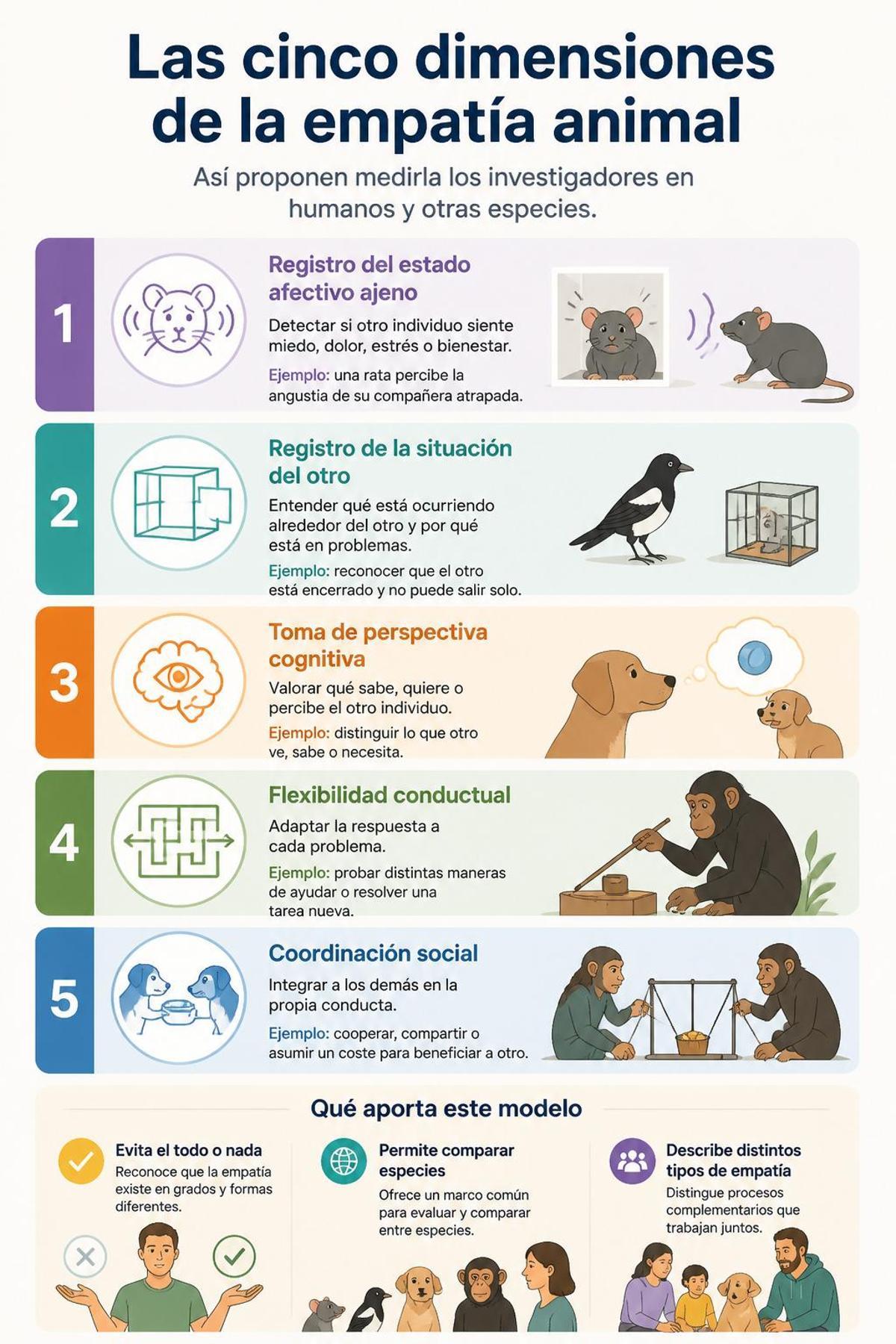 Cinco capacidades claves para la empatía pueden medirse empíricamente en animales.