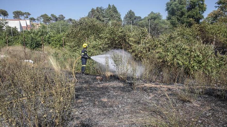 Cáceres registra ya el sexto incendio desde el pasado viernes