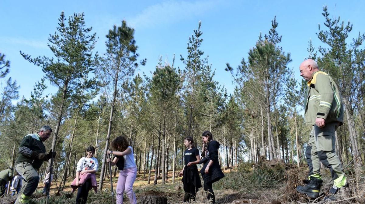 400 árboles para conmemorar el Día Forestal Mundial en Valga