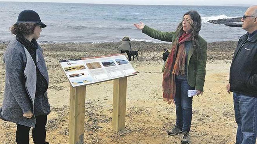 Frade, Truyol y Forteza junto al yacimiento paleontológico de la playa de s´Estany Pudent.