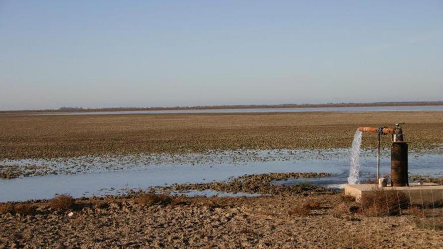 Doñana y otras catástrofes