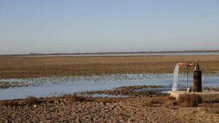Medio millar de los 1.200 pozos ilegales que secan Doñana siguen sin precintarse