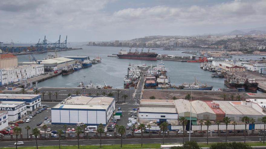 El Puerto archiva la causa interpuesta contra su jefa de Dominio Público