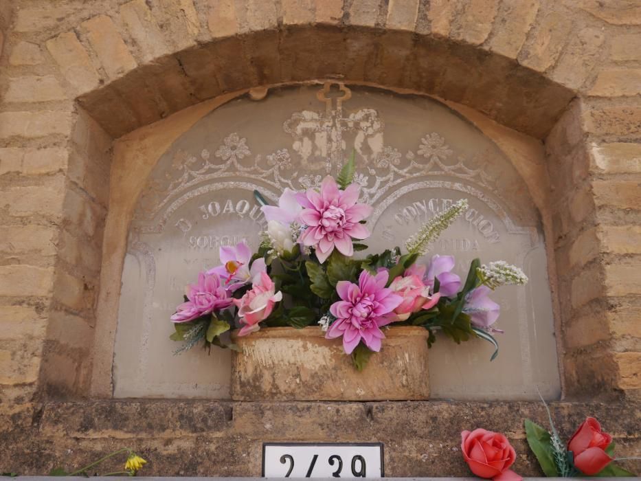 Homenaje a los enterrados más antguos en el cementerio de Valencia