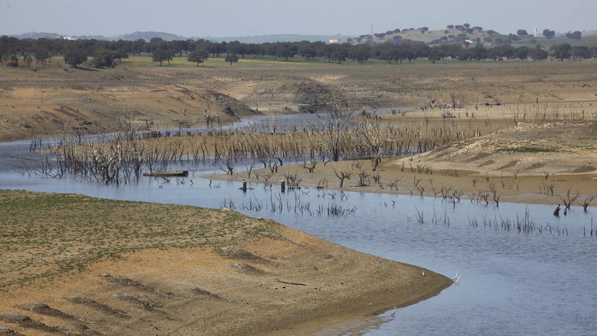 Escasez de agua en el embalse de Sierra Boyera, en Bélmez (Córdoba), perteneciente a la Confederación Hidrográfica del Guadalquivir