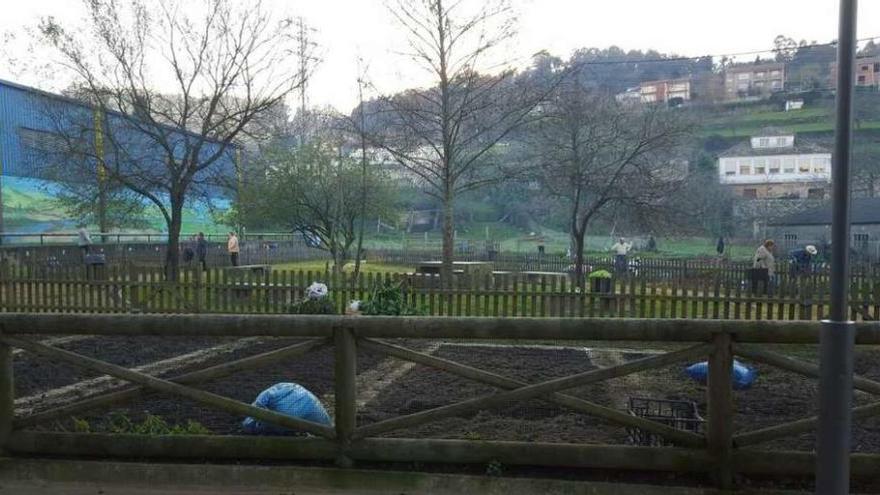 Los nuevos huertos urbanos habilitados por la Concellería de Medio Ambiente en el Sequelo. // Fdv