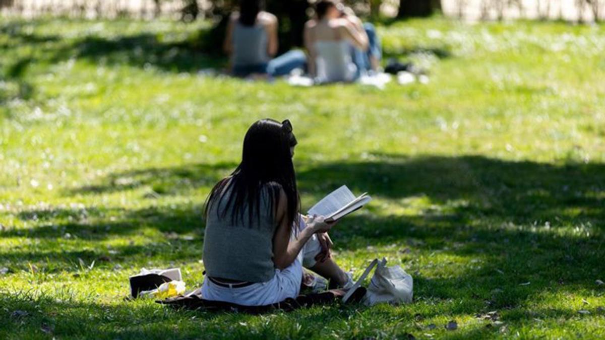 Una mujer disfruta de la lectura en un parque