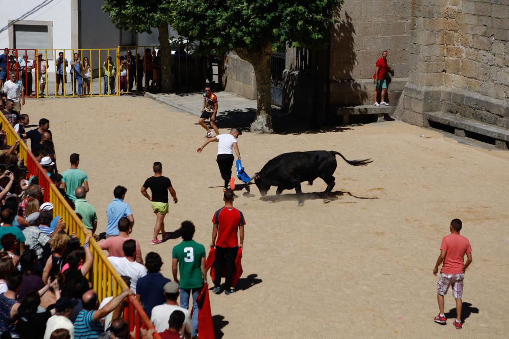 Encierro urbano en Bermillo de Sayago