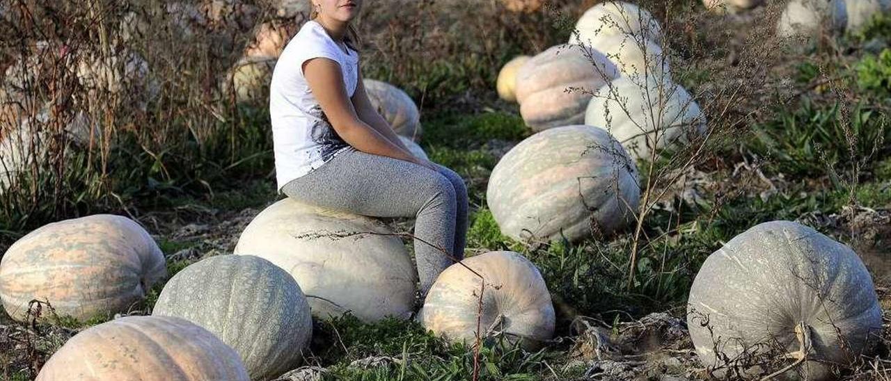 Alba ante algunas de las cerca de 200 calabazas de una finca de Casas Novas (Goiás). // Bernabé/Javier Lalín