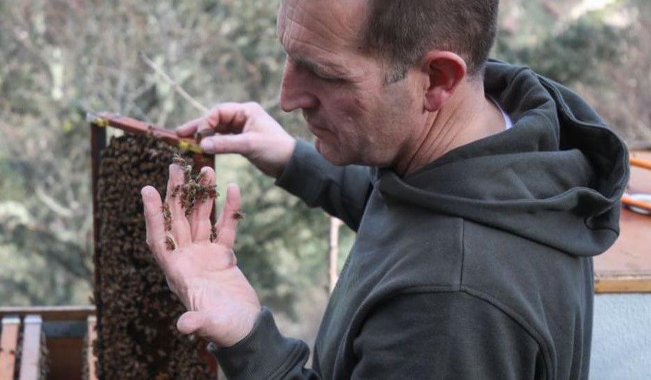 José Manuel, con abejas en la mano y sin protección, en una visita a una explotación portuguesa, a pocos kilómetros de As Neves.