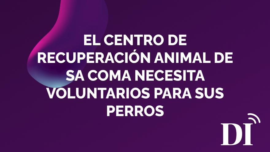 El Centro de Recuperación Animal de Sa Coma en Ibiza necesita voluntarios para sus 65 perros