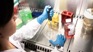 Identificades les cèl·lules que provoquen metàstasi en el càncer de còlon