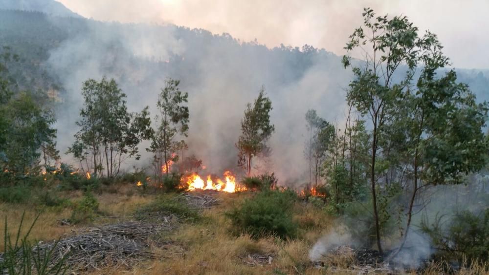 Incendios en Galicia | El fuego de Porto do Son arrasa el monte de A Curota