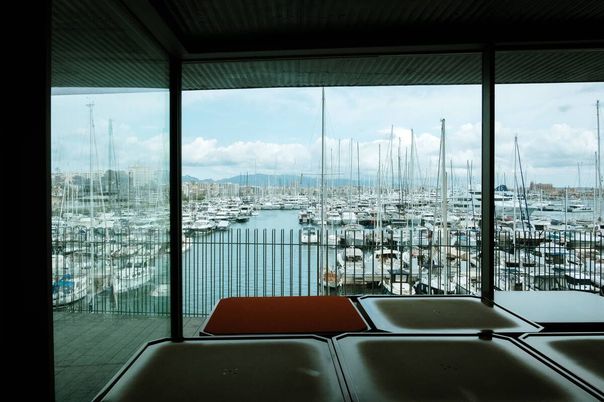 251010DMA_Bernardo A (225269433).jpg