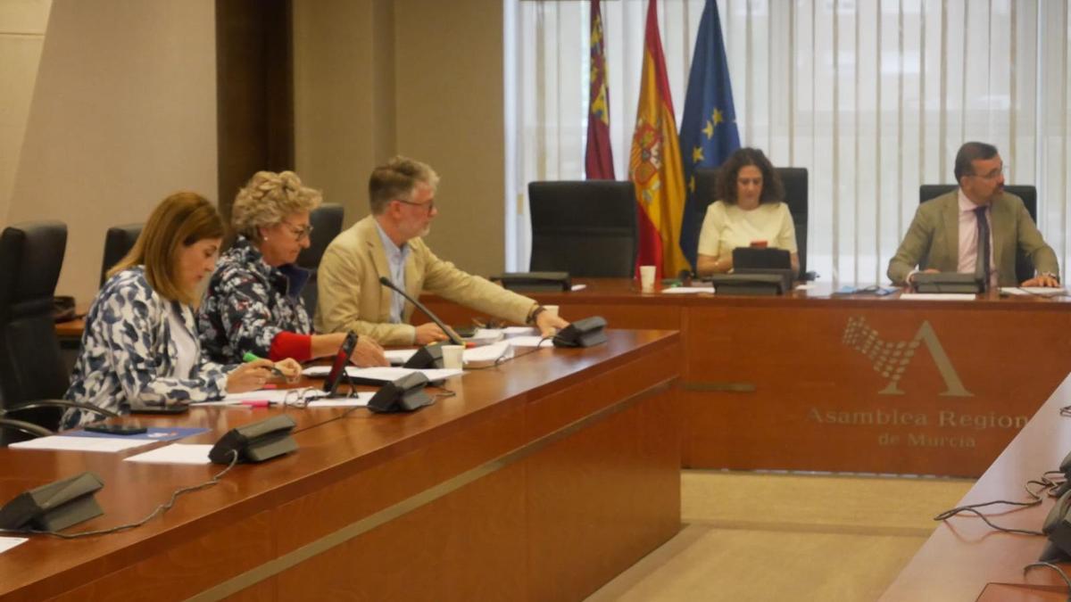 Comisión de Educación y Cultura de la Asamblea Regional este jueves.