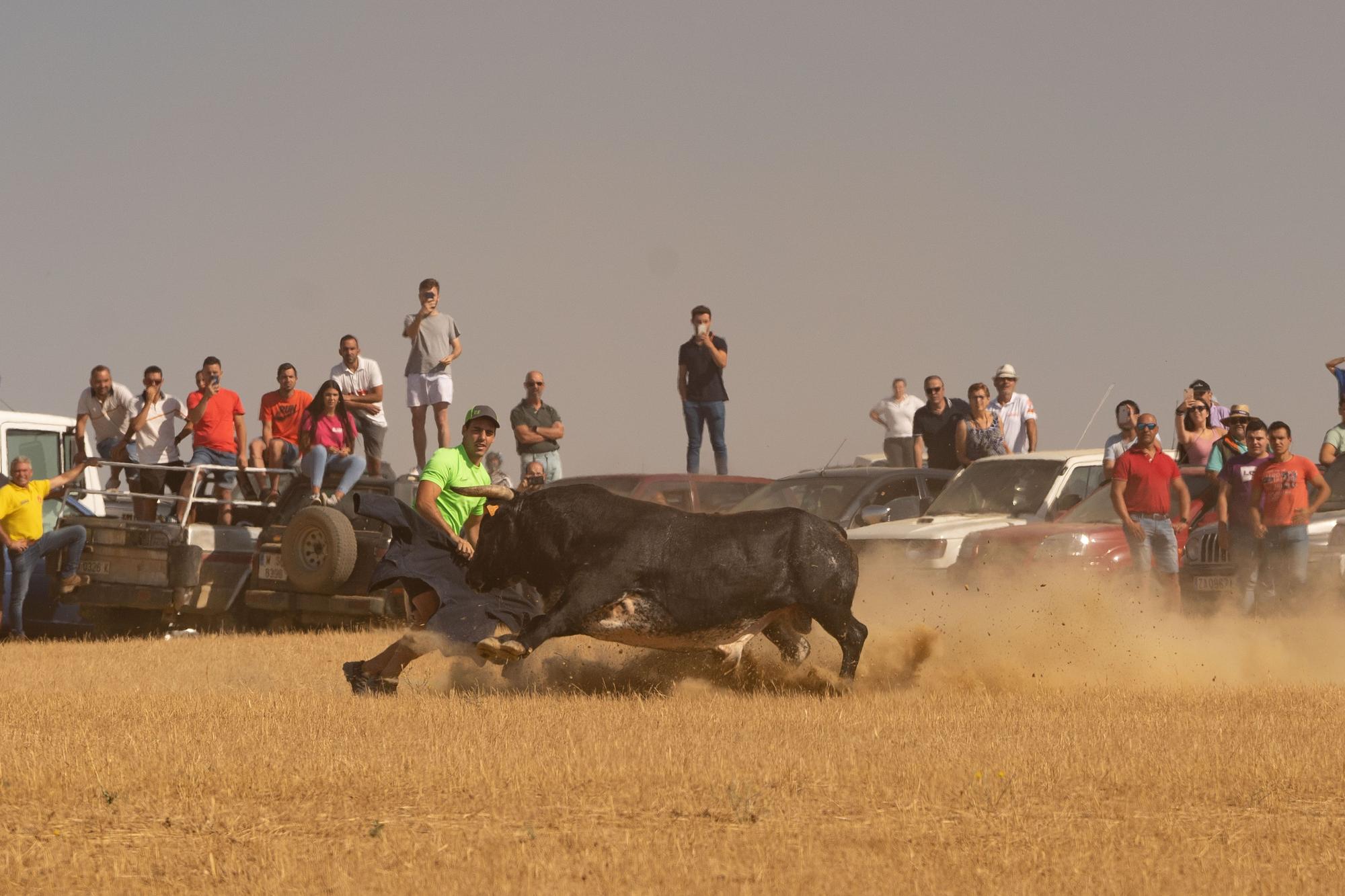 GALERIA | Magnífico encierro campero en Villalpando