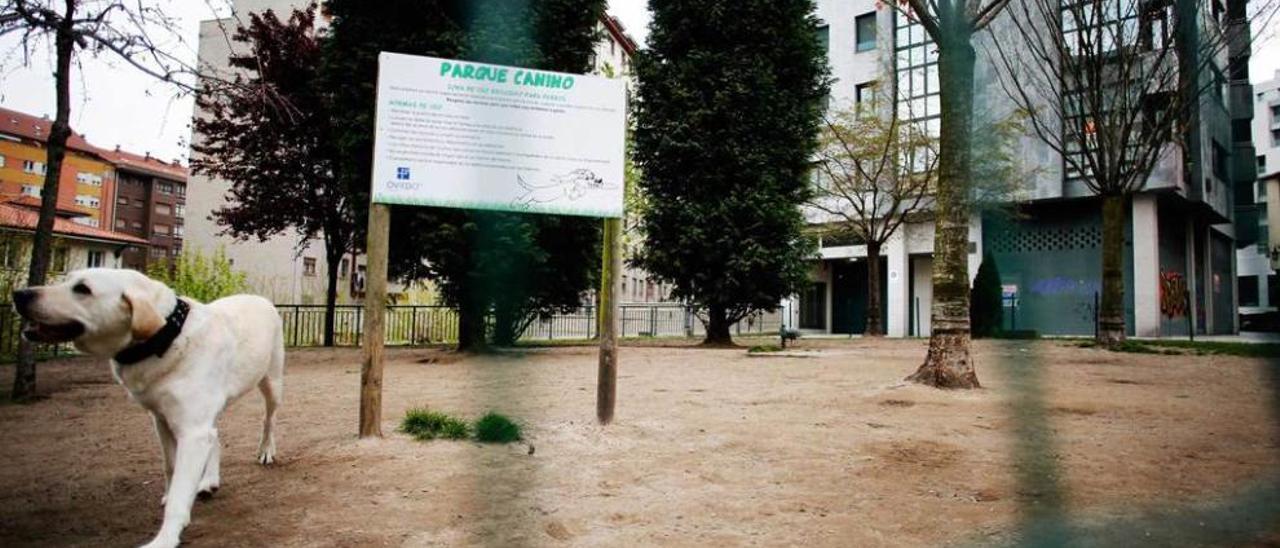 El parque canino de la plaza Ana García, en el entorno de Foncalada.