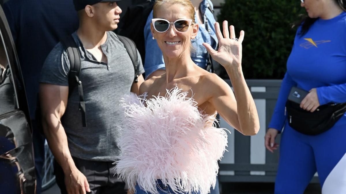 Celine Dion con top de plumas en color rosa