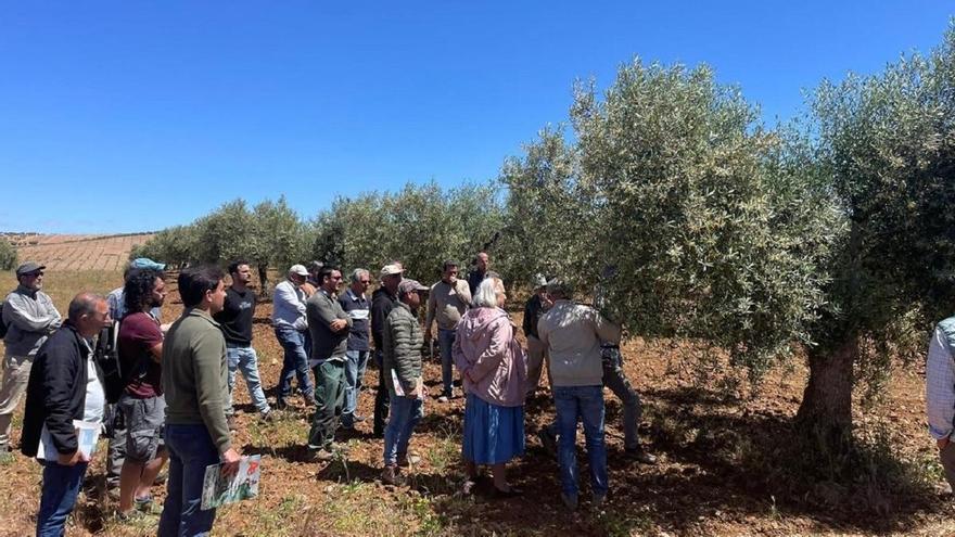 Mujeres y jóvenes, los dos colectivos que impulsan la agricultura ecológica en España