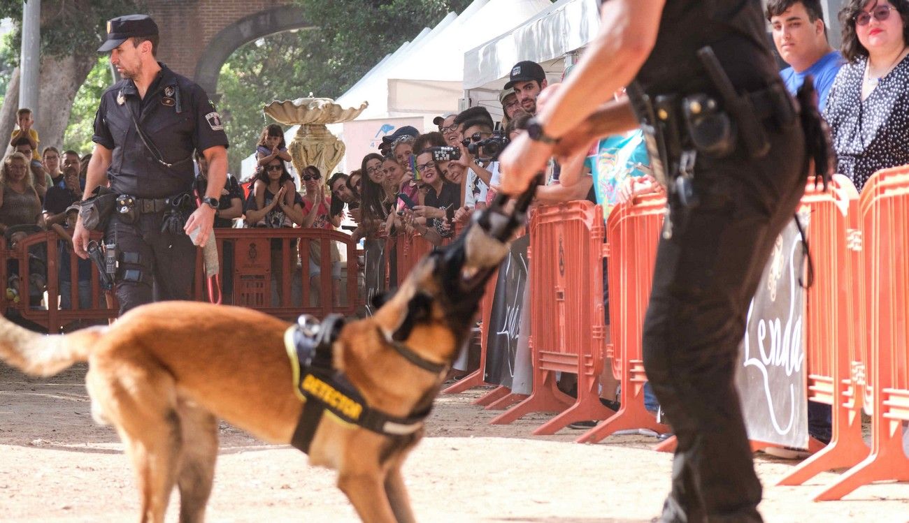 Día de los Animales en Santa Cruz