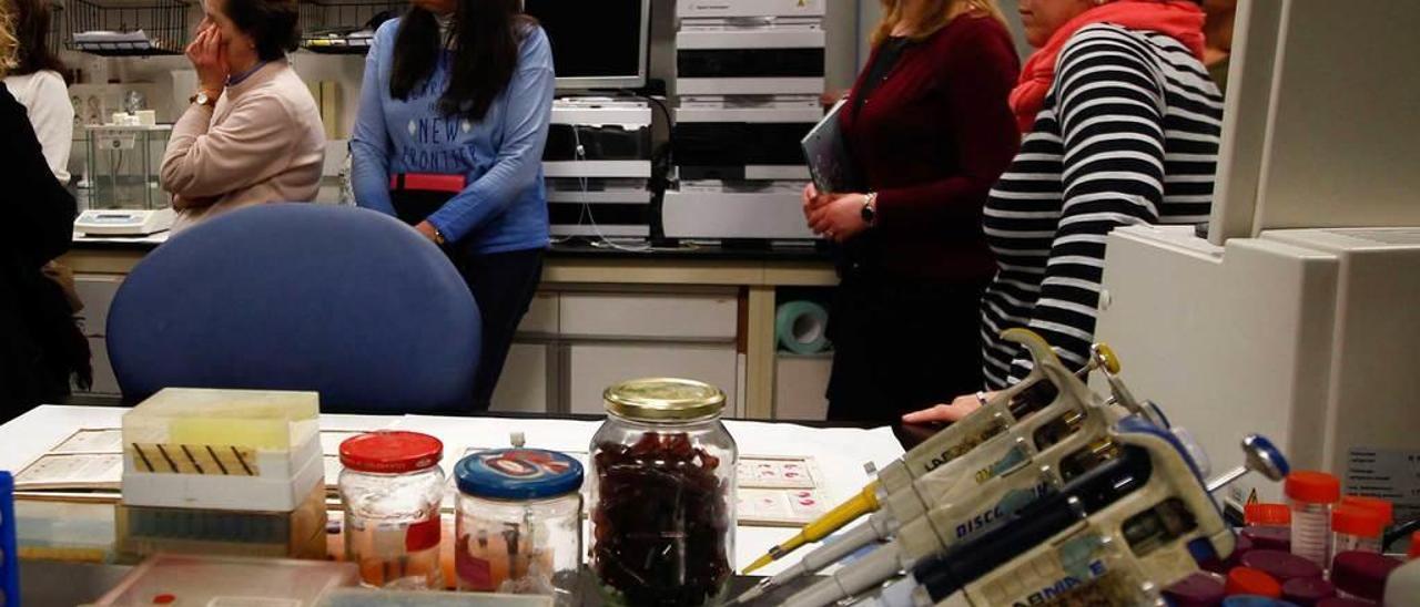 Una actividad de divulgación científica en los laboratorios de la Universidad de Oviedo.