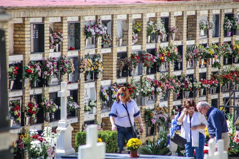 Afluencia masiva de visitantes al cementerio de Orihuela