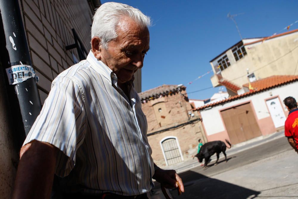 Encierro Urbano Bóveda de Toro