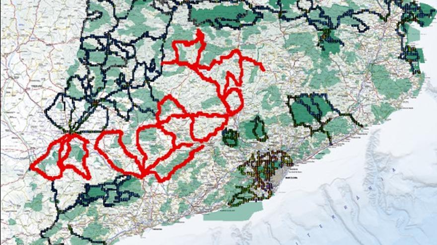 Representació de les zones mesurades del cel nocturn durant la campanya del 2021