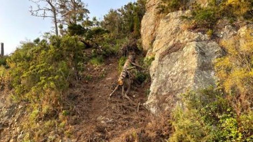 El Cabildo inicia de urgencia el saneamiento de un talud de la TF-342, en Los Realejos