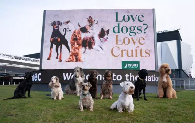 El paraíso para los amantes de los perros está en Birmingham