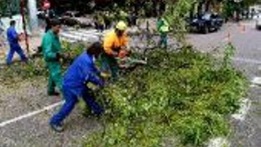 El temporal provoca vientos de 90 kilómetros por hora