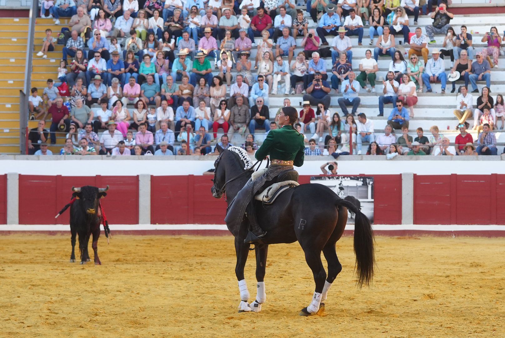 La corrida de rejones en Pozoblanco, en imágenes