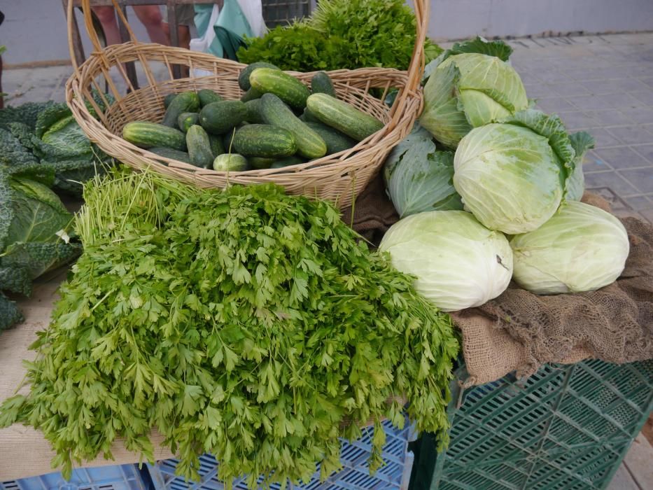 Orgullo de lucha por la huerta del sur