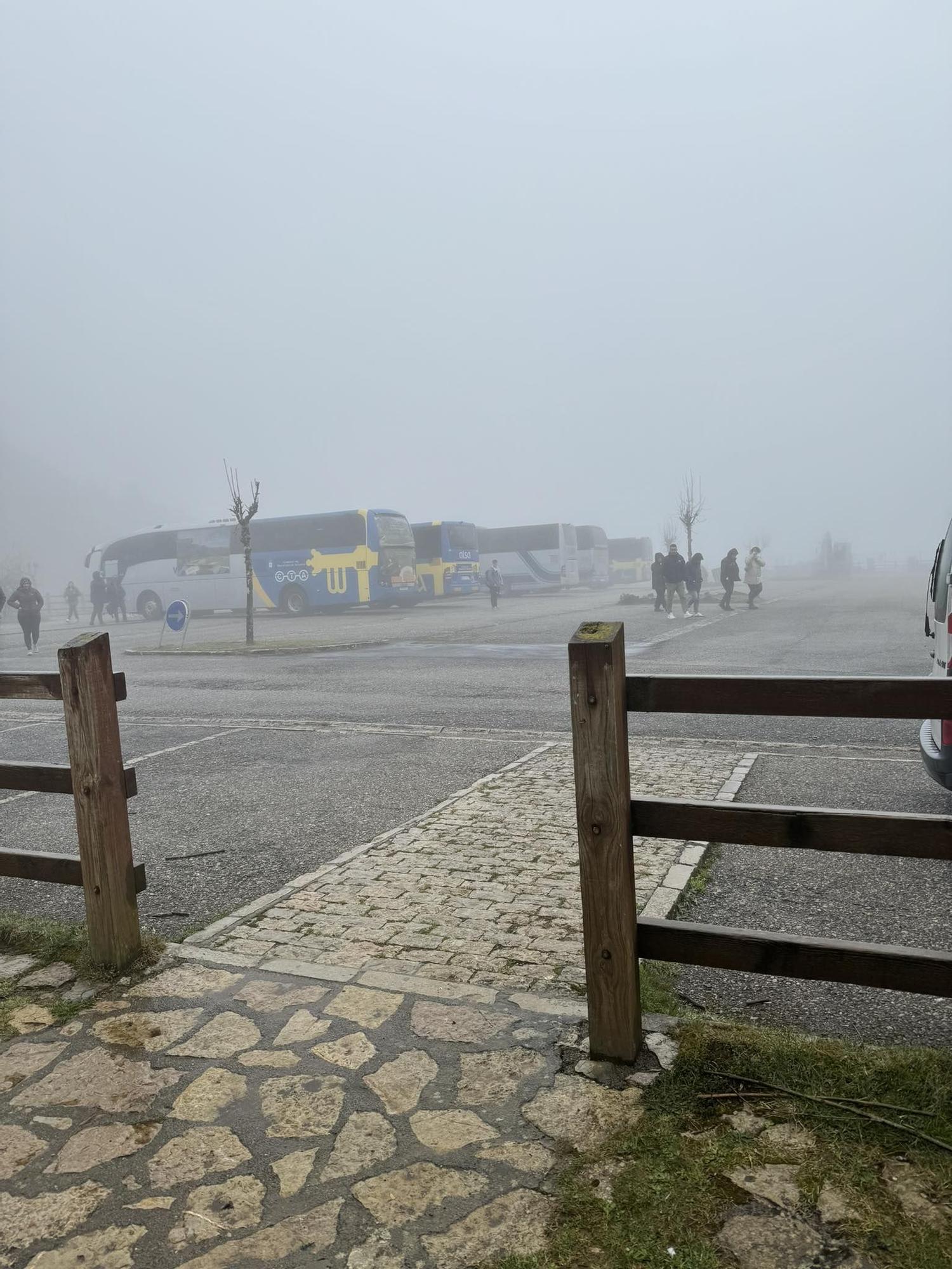 Primera jornada del plan de transporte a los lagos de Covadonga