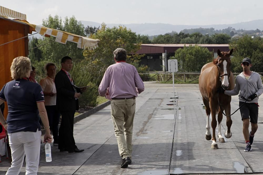 Preparativos del Concurso de Saltos Internacional