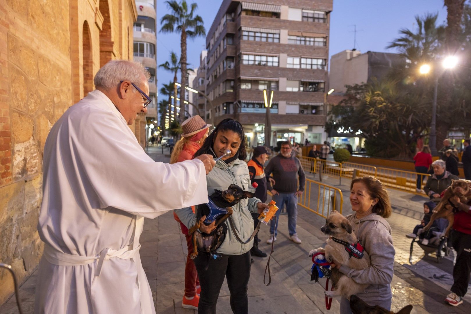 Así han recibicido la bendición perros, gatos y otra fauna doméstica el día de San Antón en Torrevieja