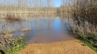 El Órbigo alcanza un nivel de 2,68 metros en Manganeses de la Polvorosa