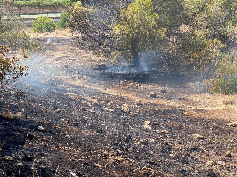 Alarma por un incendio en un bosque de la urbanización Puig de Ros, en Llucmajor