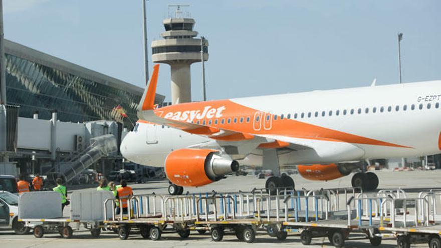 EasyJet y Booking buscan en Palma a un viajero que dé la vuelta a Europa