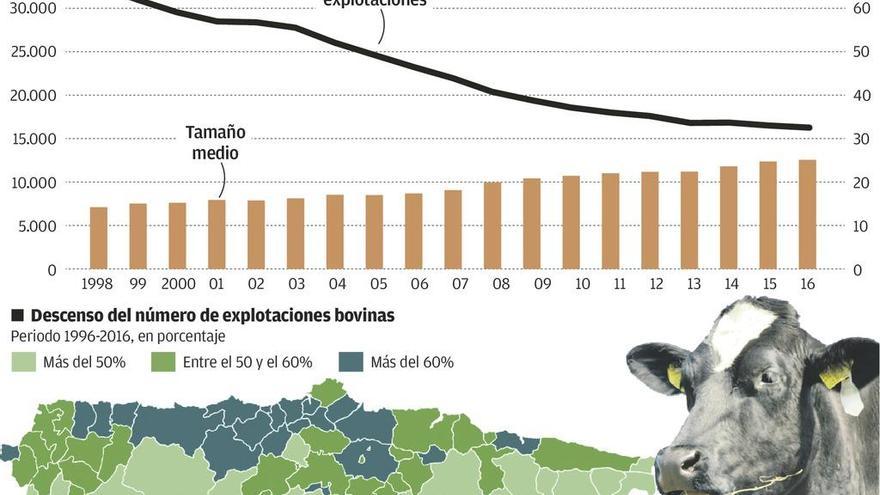 Asturias perdió casi mil ganaderías por año durante las dos últimas décadas