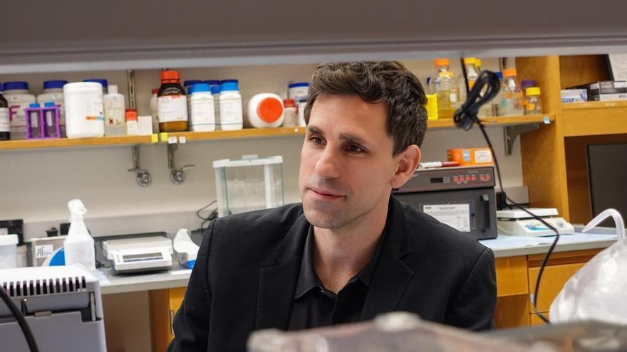 Nuevo avance del científico coruñés César de la Fuente: las proteínas causantes del mal de las vacas locas, posibles fuentes de antibióticos