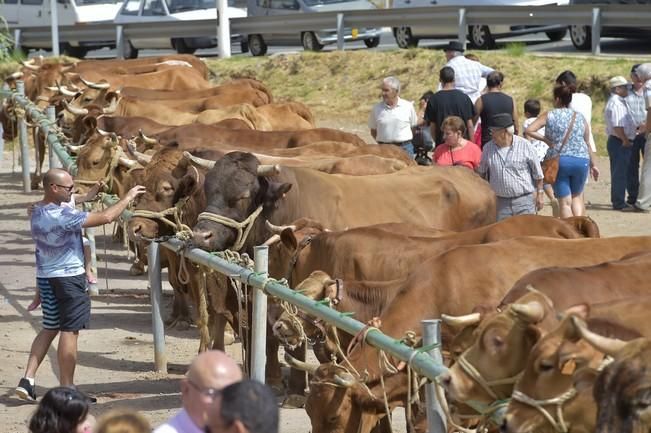 Muestra de ganado y feria de artesanía por las ...