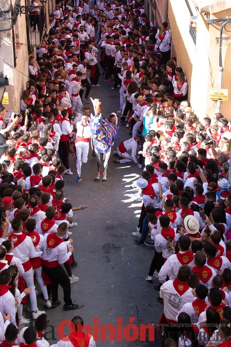 Caballos del Vino en la cuesta de la Simona